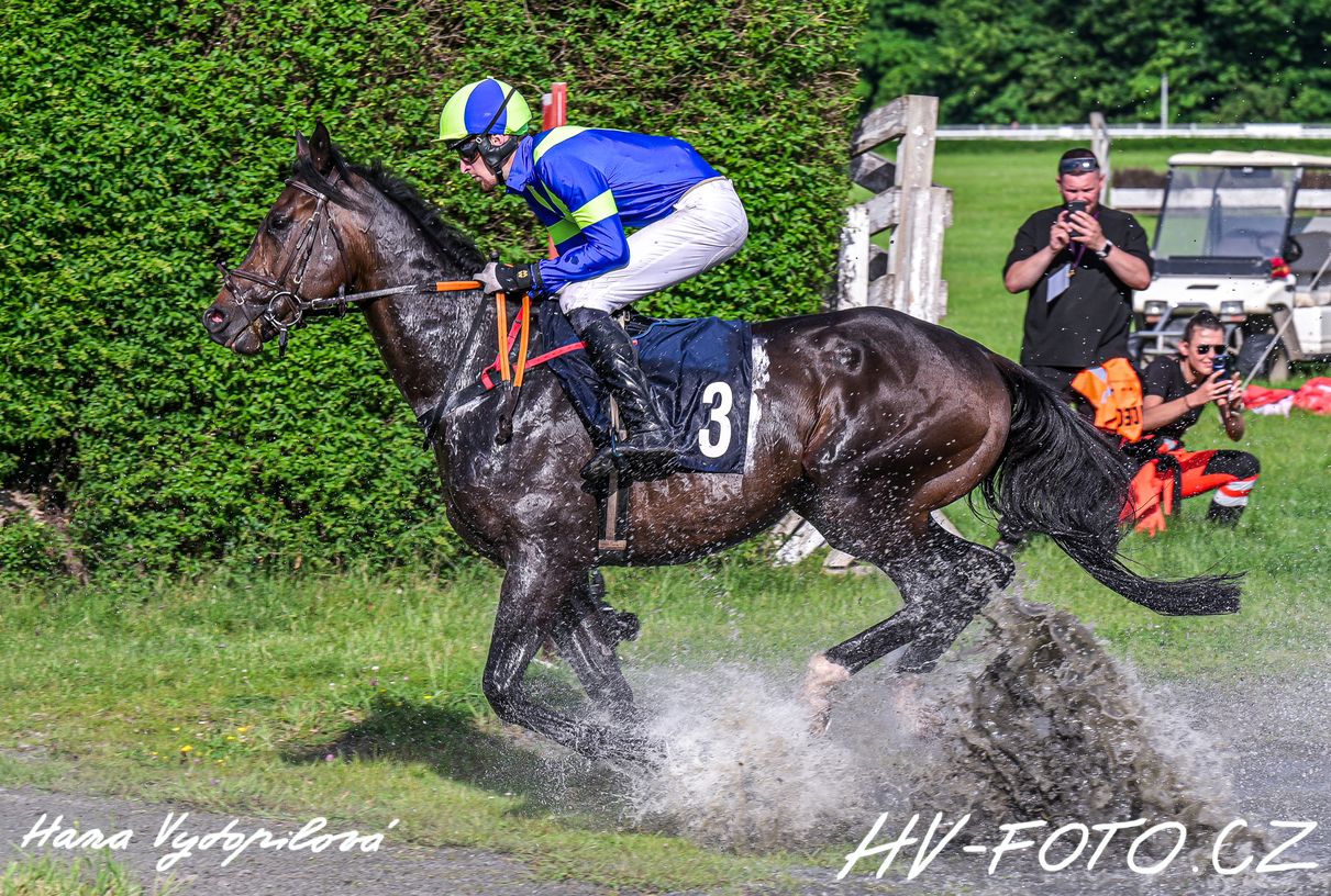 DSC_2064 kopie.jpg